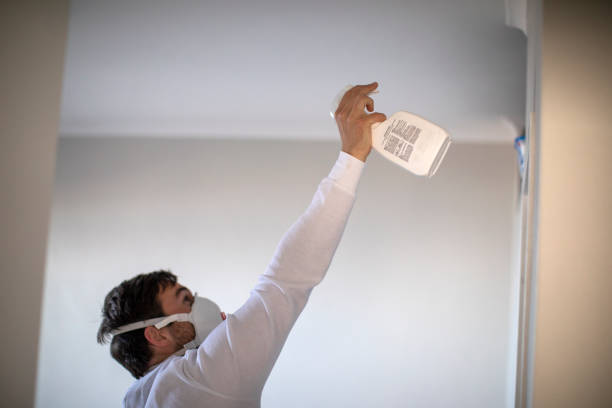 Best Black Mold Remediation in Victoria, MN