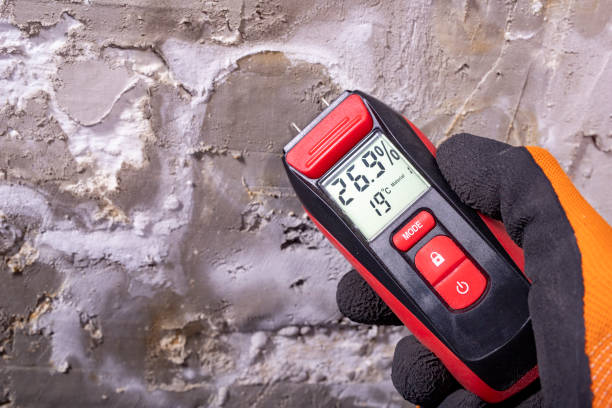 Best Industrial Mold Remediation in Victoria, MN